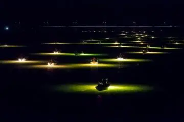 In mid-winter, high season for whitebait fishing, innumerable fishing boats spread out across the Yoshino river creating a dreamy scene. However, due to the declining number of whitebaits, the number of these 'dreamy nights' is declining, too (Photo: MASAYOSHI HIROSE)